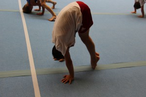 IMG 0594